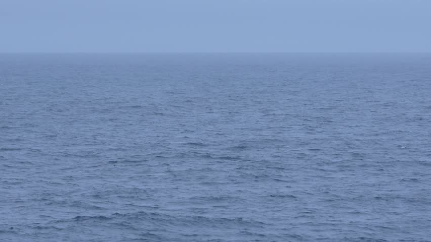 Antarctica Humpback Whale Watching Blow Hole Spout Shoots Water into Sky Close Up View From Cruise Ship. Can Barely See Wildlife Under Water