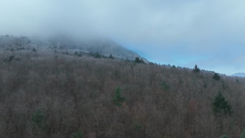 A rising drone view of a fog-covered mountainside in Alsace, showing leafless winter trees beneath drifting clouds and a soft patch of blue sky above