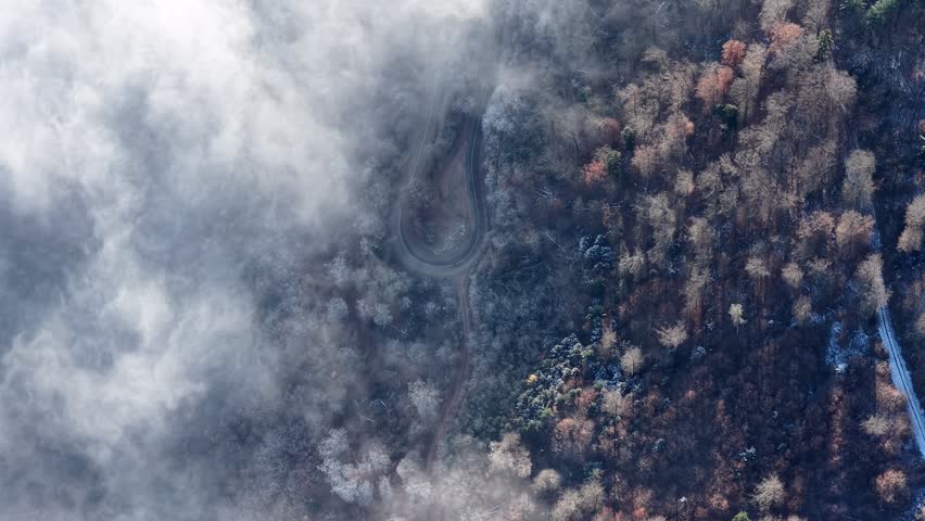 A top-down view of a winding mountain road cutting through colorful woodland partially obscured by drifting mist, creating a vivid seasonal landscape