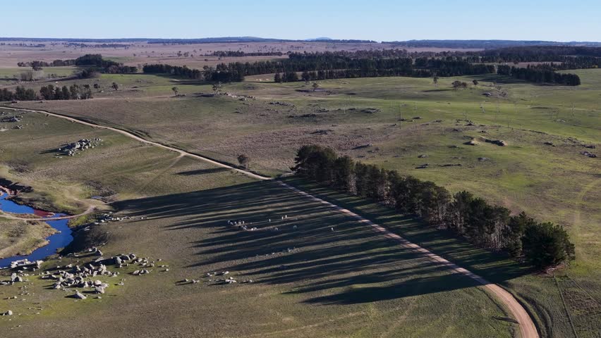 Wide aerial shot of green pastures, dirt roads, and long tree shadows in Uralla, Australia.