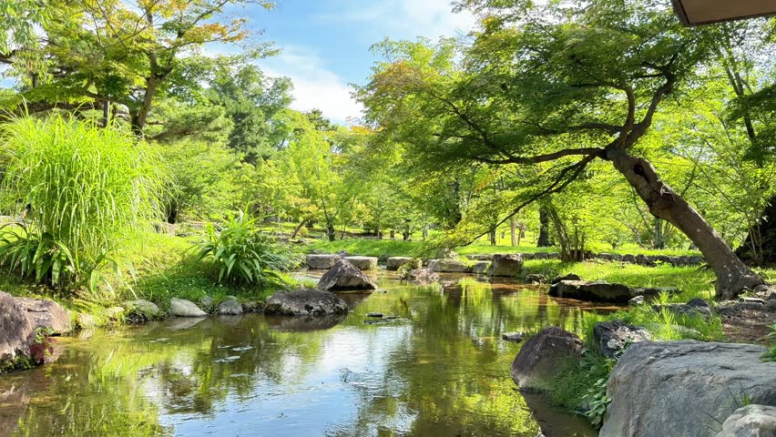 Tranquil stream flows through lush green park with rocks and trees under blue sky