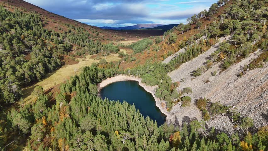 An Aerial view of Green Loch surrounded by dense forest and rugged highland slopes in the Cairngorms
