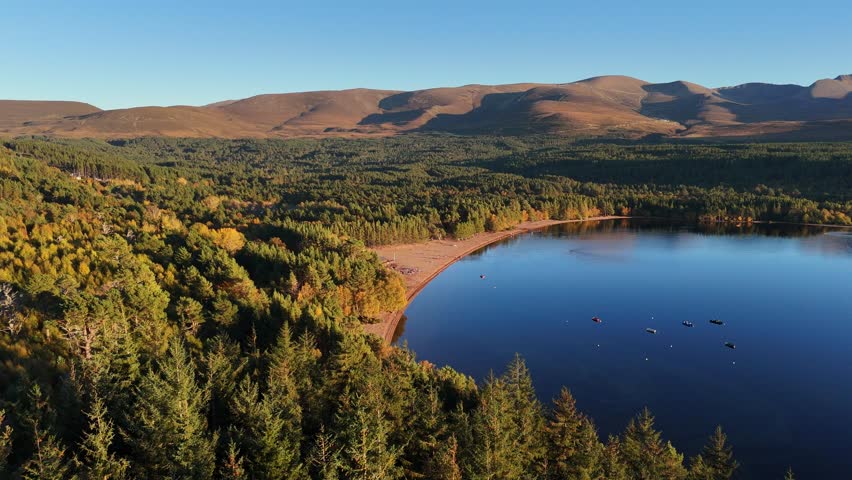 An Aerial view of Loch Morlich curved sandy shore bordered by pine forest and rolling highland hills