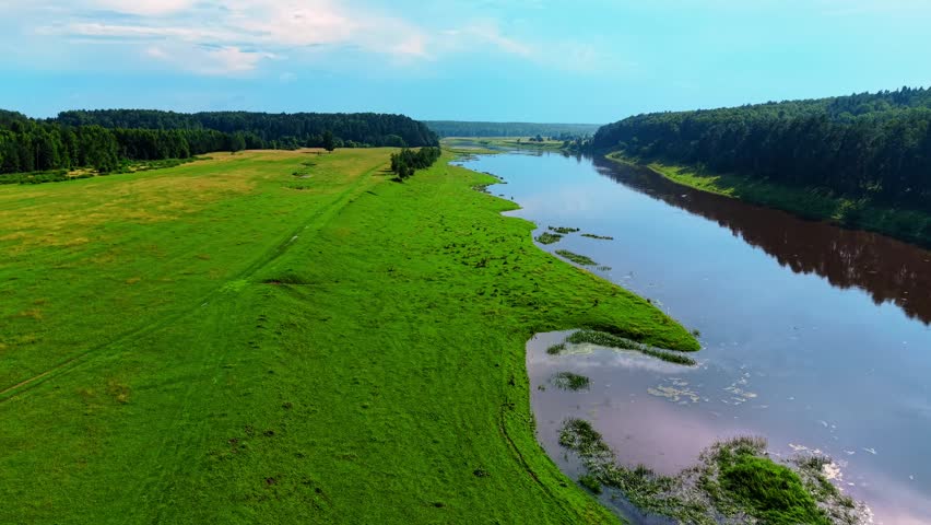 Green grass landscape bordering a calm river with clear blue sky and distant trees in summer