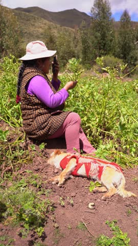 Peruvian farmer woman talking on the phone while resting from agricultural work