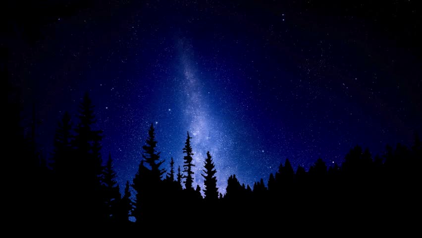Milky Way Galaxy Over Dark Forest Silhouettes Under a Clear Starry Night Sky