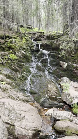 Small stream flowing through Skuleskogen National Park in Sweden, surrounded by forest, rocks and natural wilderness.