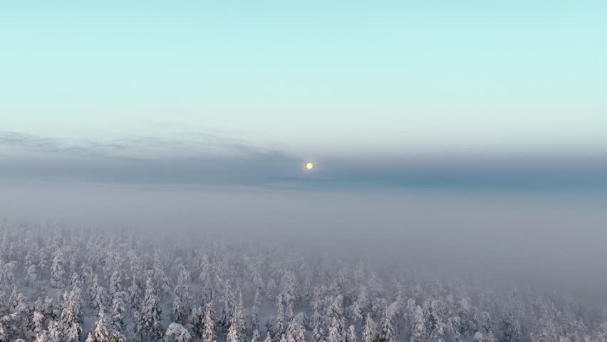 Aerial tracking shot of a misty snow-covered forest under a winter moon in Lapland