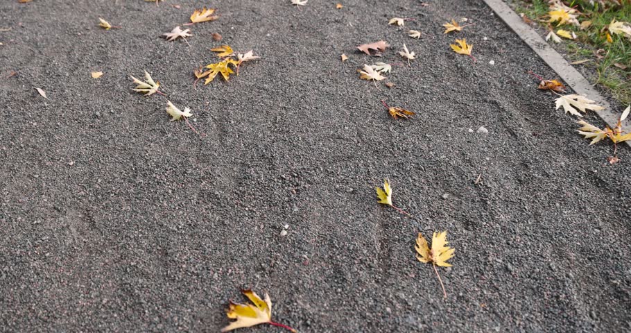 a walking path made of stone and rubble with yellow foliage of trees in the autumn season, beautiful yellow foliage fallen on a walking path