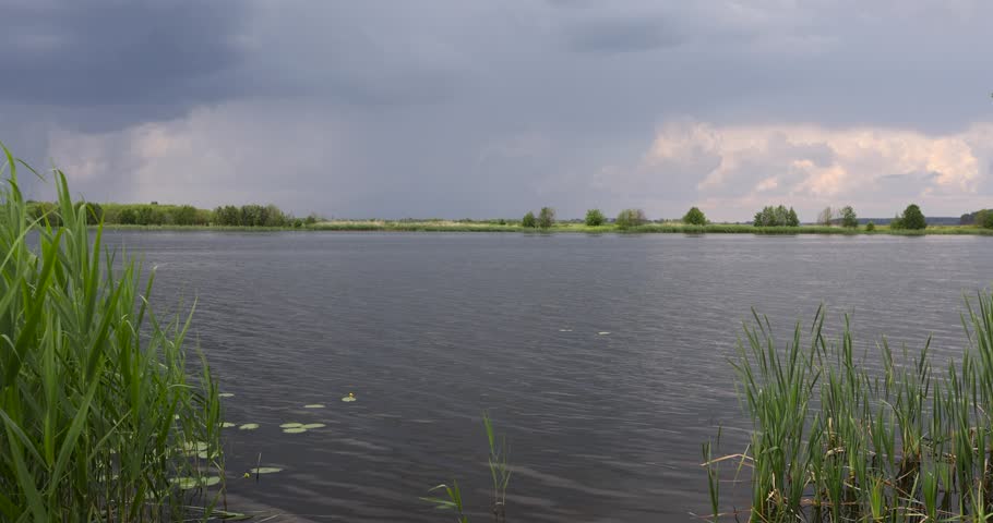 lake and trees on the shore before a storm, lake and sky with clouds in cloudy weather
