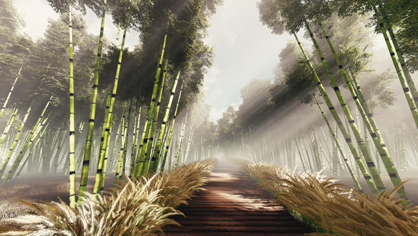 Wooden Boardwalk Through a Misty Bamboo Forest with Sunbeams