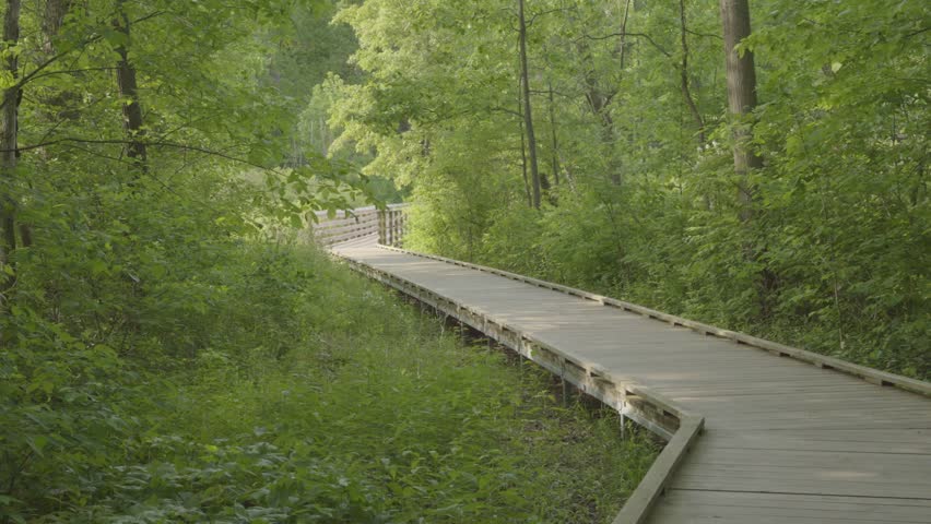Scenic landscapes at Indiana Dunes National Park