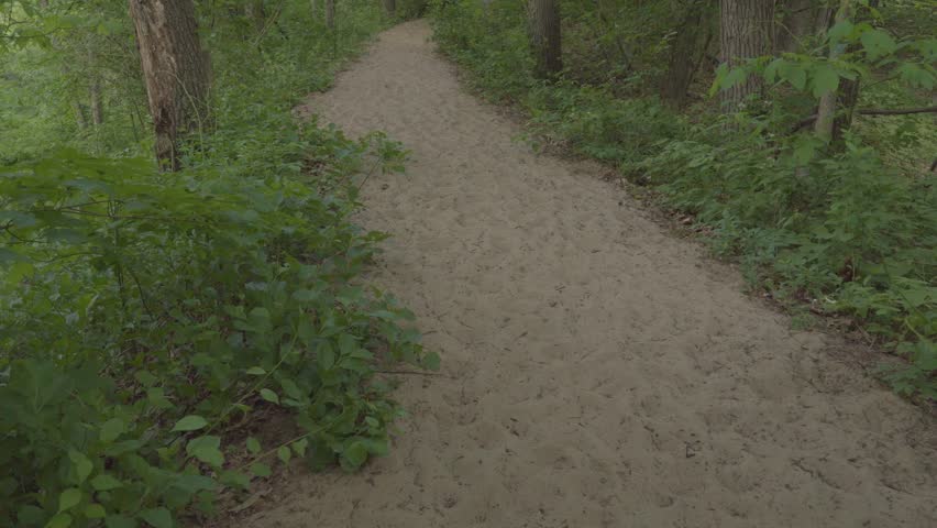Scenic landscapes at Indiana Dunes National Park