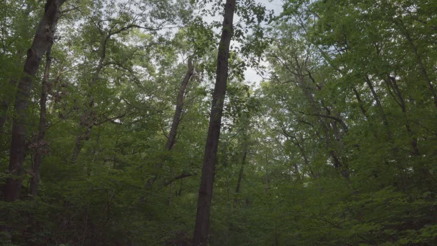 Scenic landscapes at Indiana Dunes National Park