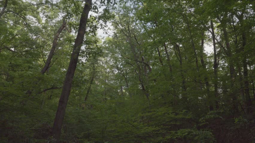 Scenic landscapes at Indiana Dunes National Park