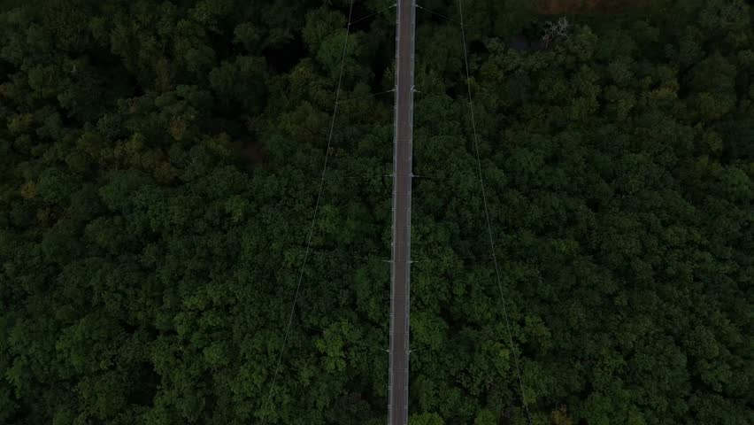 Top down aerial view of the Geierlay suspension bridge and its support cables above an unbroken green forest canopy