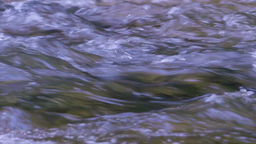 Surface of a clear freshwater, shallow forest stream that is flowing quickly with ripples and bubbling.