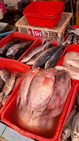 Close up of various fresh fish, red snapper, and large prawns displayed for sale in a traditional fish market