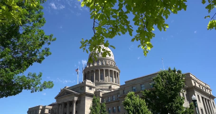 Idaho State Capitol viewed through hanging tree branch, Boise Idaho