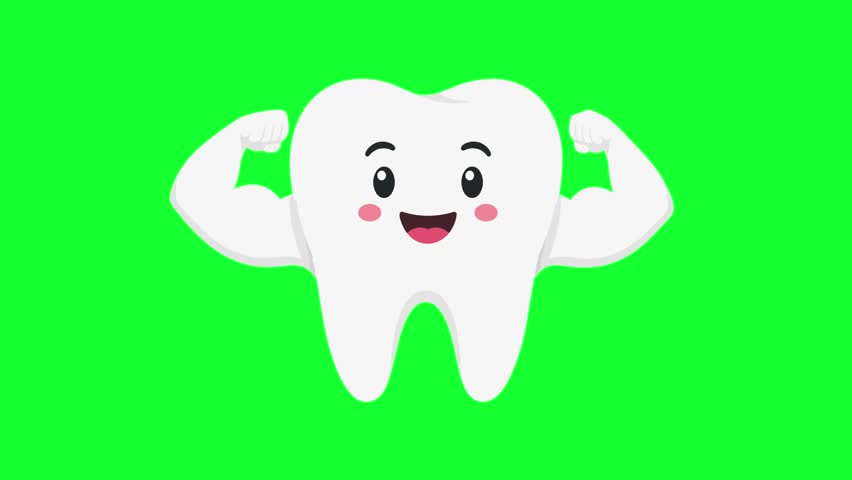 Cute cartoon strong tooth showing muscle biceps loop on green screen background for dental care, dentist clinic, healthy teeth, and pediatric asset.