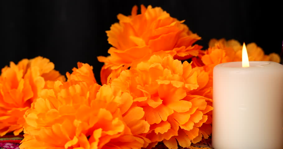 Horizontal panning camera movement showing traditional Mexican Day of the Dead altar setup with black metallic painted skull, vibrant orange cempasuchil flowers and burning white candles.
