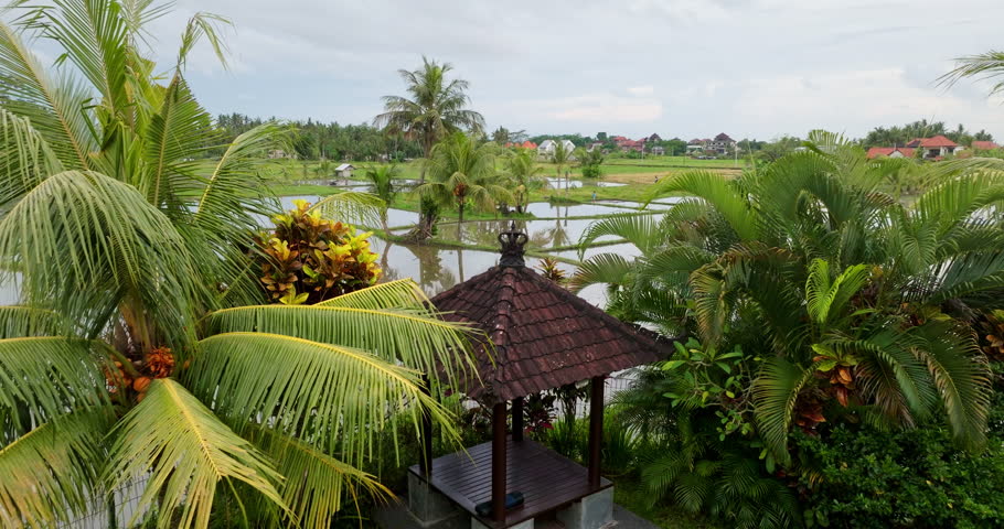 Bali rural landscape. Lush green palm trees frame a traditional Balinese gazebo overlooking flooded rice fields reflecting the sky and distant village houses on a cloudy day in Indonesia. Drone flight