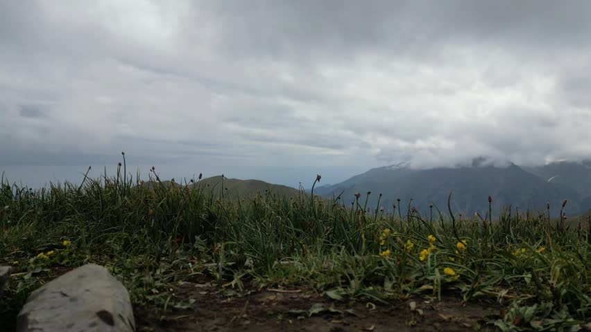 Lush green grass and vibrant yellow flowers frame a scenic mountain view, with rolling hills and clouds creating a dramatic backdrop in this tranquil outdoor setting