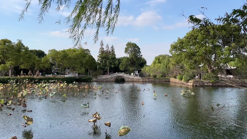 This 4K static shot captures the serene beauty of Liyuan Garden in Wuxi, a masterpiece of Jiangnan landscape design. The footage features a classic Chinese stone arch bridge spanning a peaceful lake, framed by swaying willow branches and scattered lotus leaves. The clear blue sky and natural sunlight highlight the traditional architecture and lush greenery, making it an ideal background for projects related to Chinese culture, travel, meditation, mindfulness, or East Asian history.