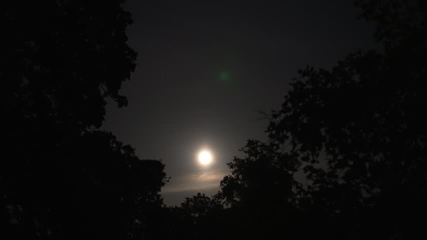 Bright moon above dark night forest and clouds creates mystical natural atmosphere and peaceful cosmic nocturnal scenery