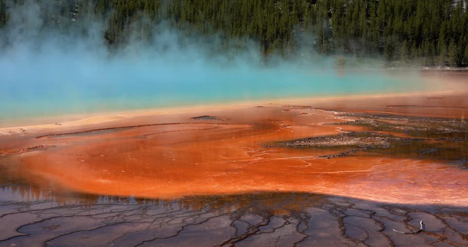 Steam rising from mineral edge of Grand Prismatic Spring, Yellowstone