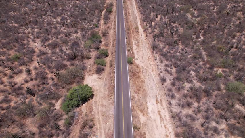 Top down aerial drone view of a straight highway cutting through a rugged cactus desert in Baja California Sur, Mexico.