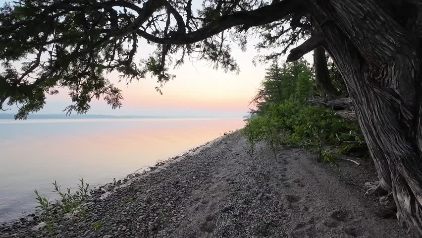 Sunrise over a peaceful beach at Nagagamisis Provincial Park in Ontario, Canada, framed by an old cedar tree with calm lake water and soft morning colours.