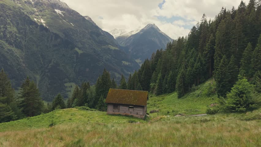 Static view of a secluded shepherd hut on an alpine meadow in Switzerland, bordered by a pine forest under a cloudy sky. Peaceful mountain landscape with rustic charm.