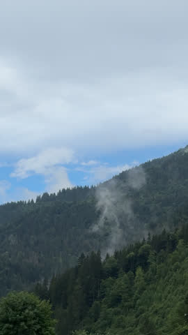 Misty Fog Rising Above Green Pine Forest on Mountain Slope with Cloudy Sky