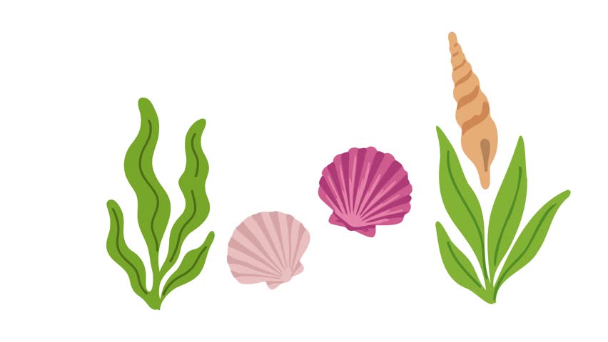 Animation of seashells and sea plants