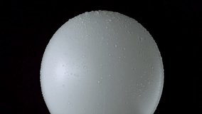 Popping water balloon on black background shooting with high speed camera, phantom flex. - Powered by Shutterstock - Get 15% off with code: PIKWIZARD15