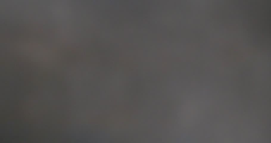 Blueberries falling in super slow motion on black background
