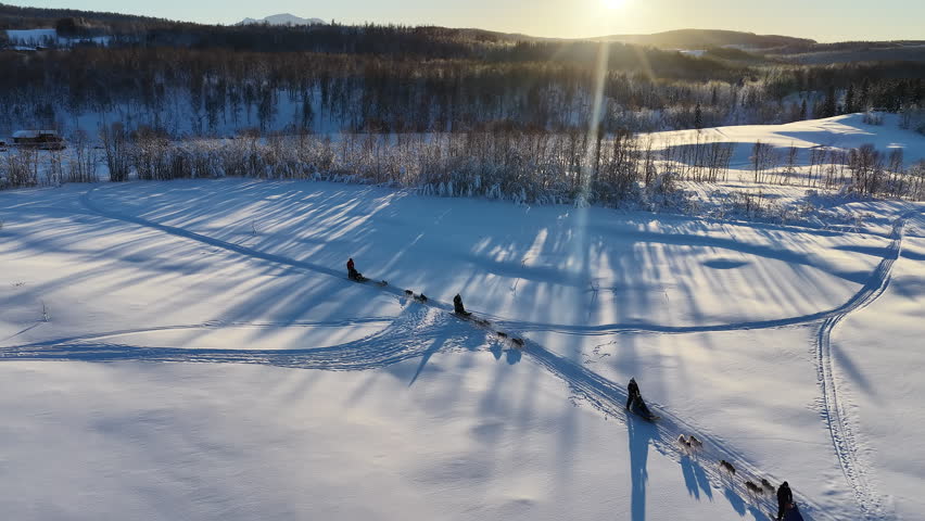 Dog sledding teams racing across snowy arctic landscape at sunset, Norway
