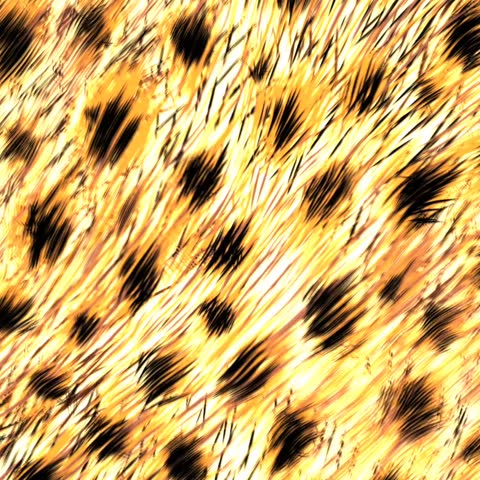 Fire explosion burning on leopard animal fur skin pattern abstract background motion graphics