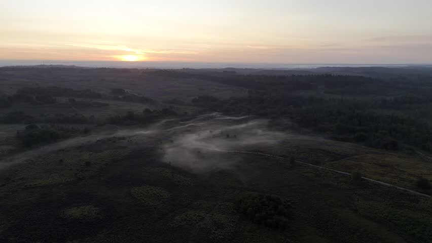 An expansive misty landscape at dawn with distant tree silhouettes and a calm, atmospheric horizon