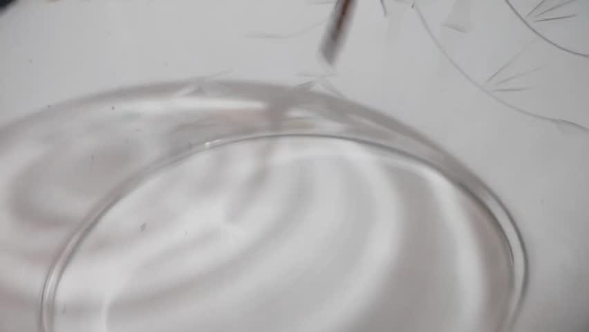 4k back of orange dragonfly macro close up with glass bowl isolated on white background. Insect photographed in natural. Detailed shot of insect with transparent wings, compound eyes and hairy legs. High resolution nature wildlife video for science and education