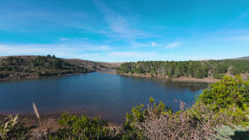 A tranquil lake curves between wooded shores under a bright blue sky with soft clouds