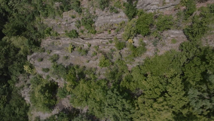 The Appalachian Mountains on a summer day