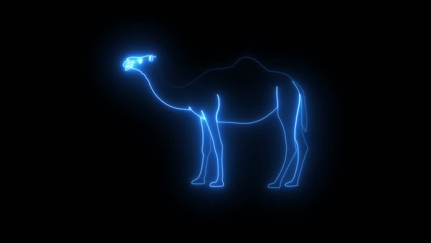 Glowing blue neon camel silhouette on black background