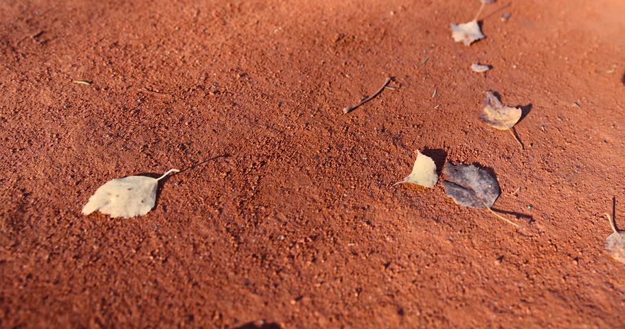 a simple path in the park made of red sand and foliage in the autumn season, fallen on the path in the park yellow foliage of trees during leaf fall