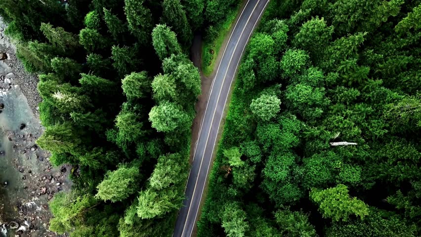 High angle perspective of paved highway curving through dense evergreen wilderness and rocky riverbank landscape.
