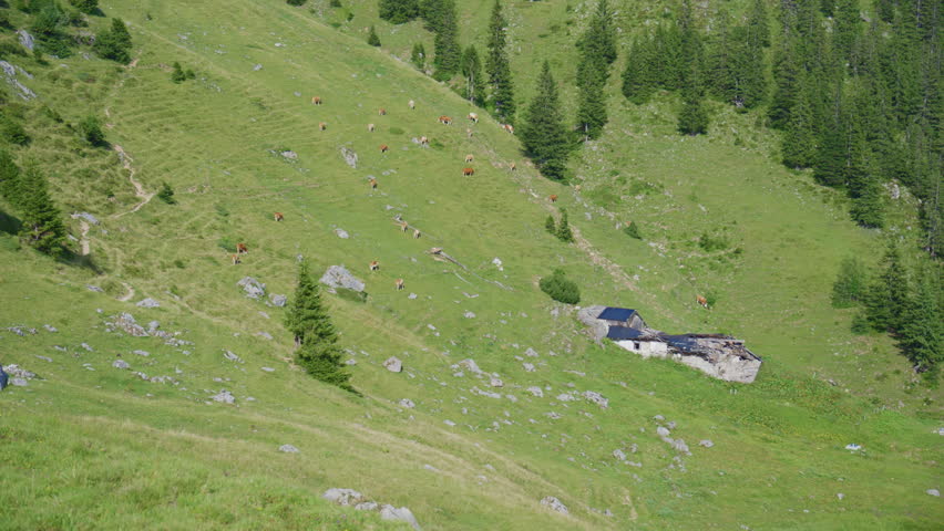 Scenic alpine landscape near Rotwand featuring a ruined mountain hut, green meadows and forested slopes in the German Alps on a sunny summer day.