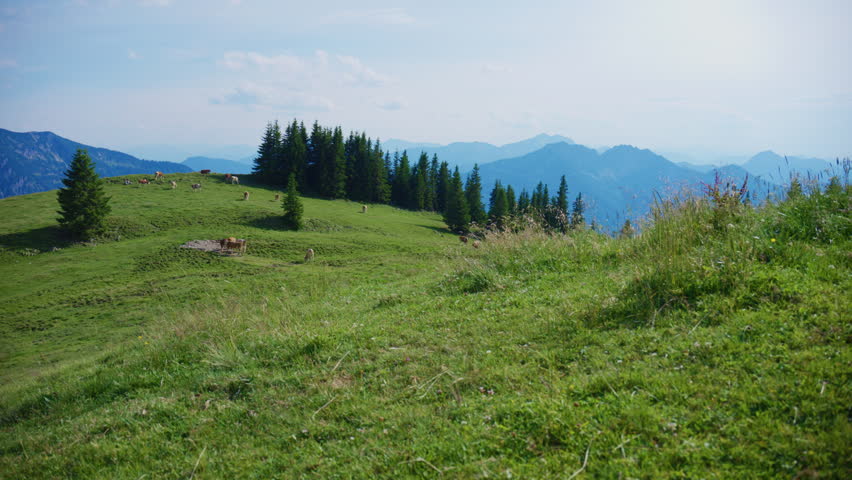 Scenic landscape in the German Pre-Alps near Rotwand featuring rolling green meadows, evergreen trees and breathtaking mountain scenery on a sunny summer day.