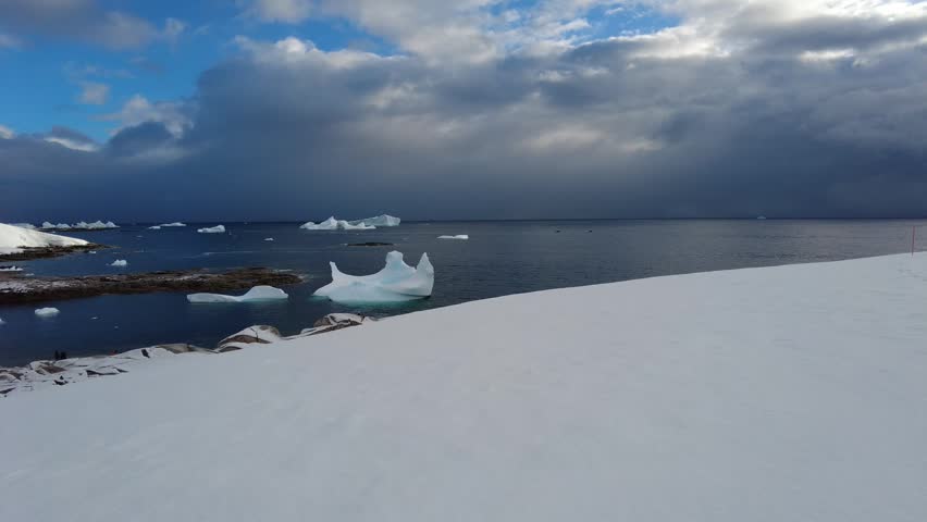 Antarctic Seascape with Icebergs and Cloudy Sky - Antarctic seascape featuring floating icebergs and dark ocean under heavy clouds. Snow-covered foreground meets rocky shoreline.