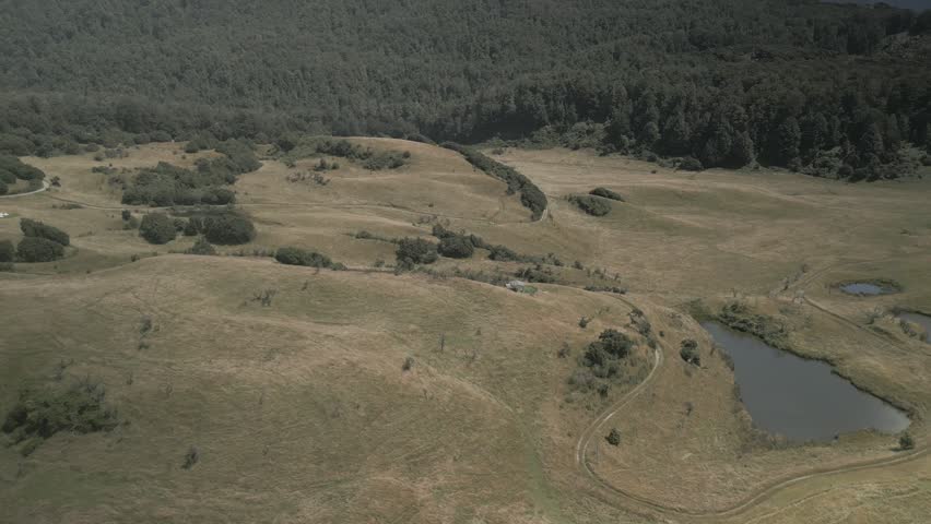 An Aerial view of open grassland with winding dirt paths, small water pond, lake and forest edge in rural landscape in New Zealand